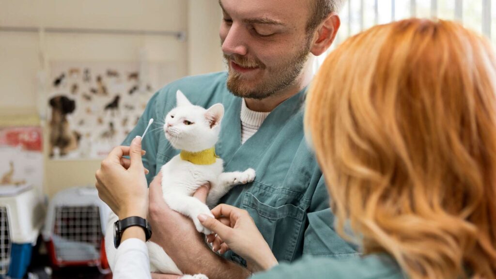 aydos veteriner klinikleri