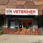 maltepe papyon veteriner
