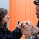 Maltepe Papyon Veteriner Kliniğinde Veteriner Hekim Rana Kahyaoğlu Köpek Muayene Ediyor